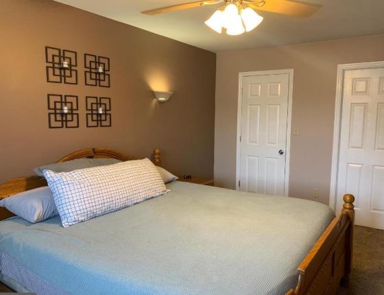 bed sitting beneath ceiling fan and modern wall decorations