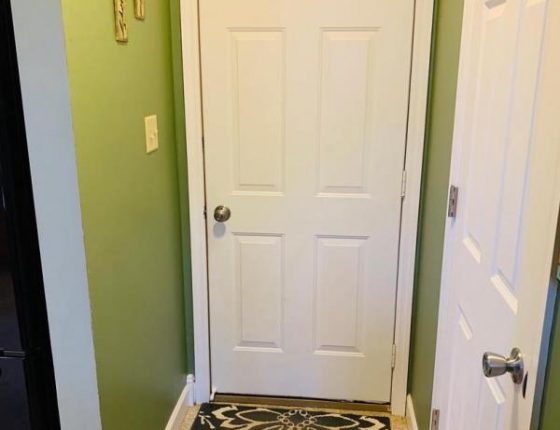 white painted doors and green walls in new home for sale