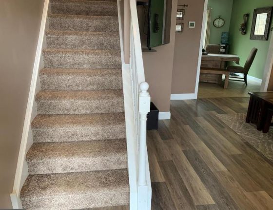 carpeted stairs leading to second floor sitting next to hardwood floor