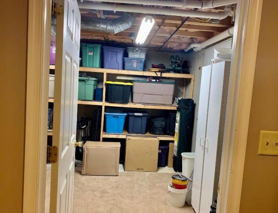 storage section of basement in home for sale